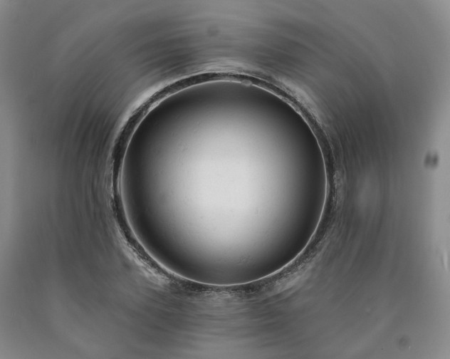 X0000090890931200707271329