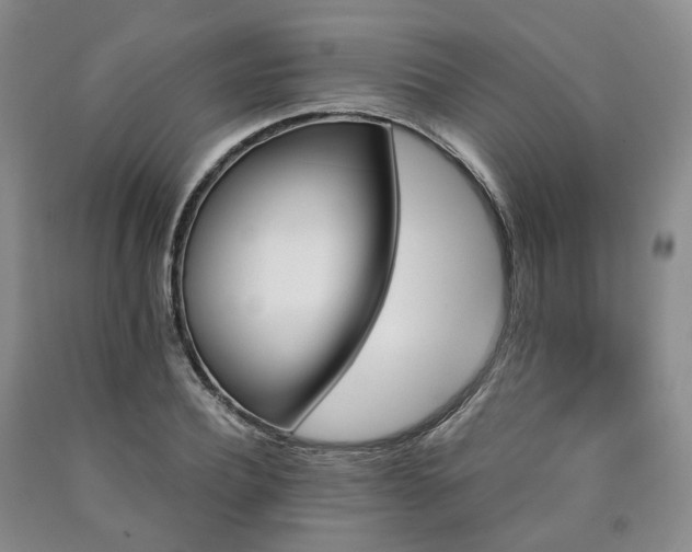 X0000090890932200707271329