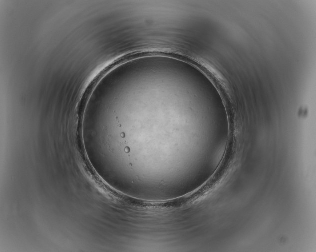 X0000090890933200707271329