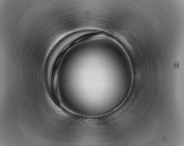 X0000090890934200707271329