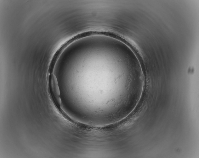 X0000090890935200707271329