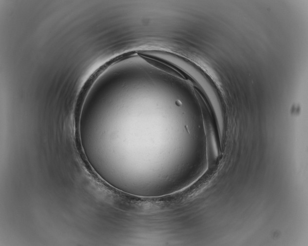 X0000090890936200707271329