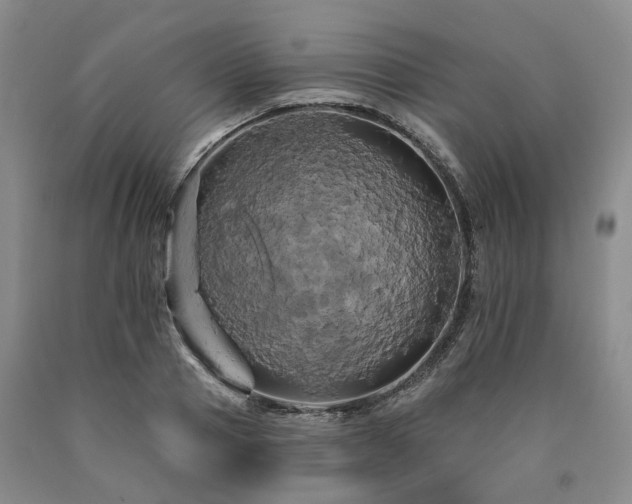 X0000090890937200707271329