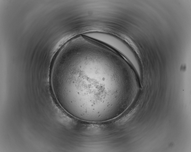 X0000090890938200707271329