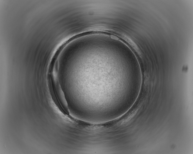 X0000090890939200707271329