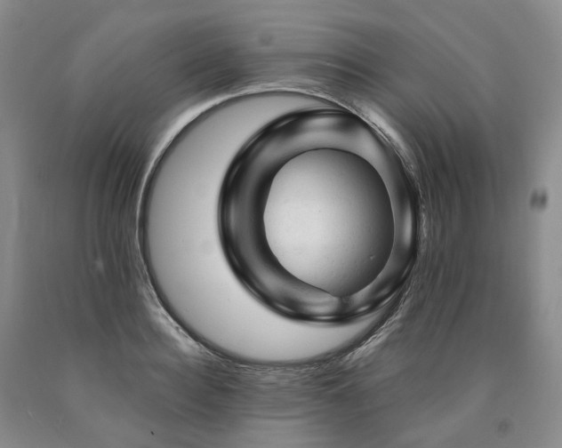 X0000090890940200707271329