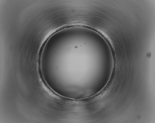 X0000090890941200707271329