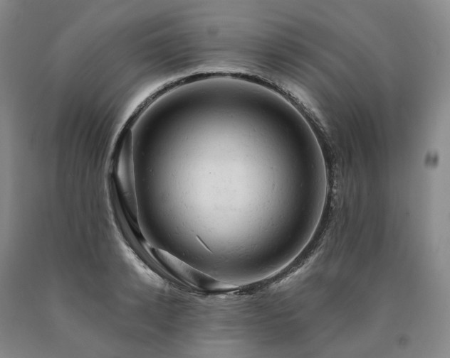 X0000090890942200707271329