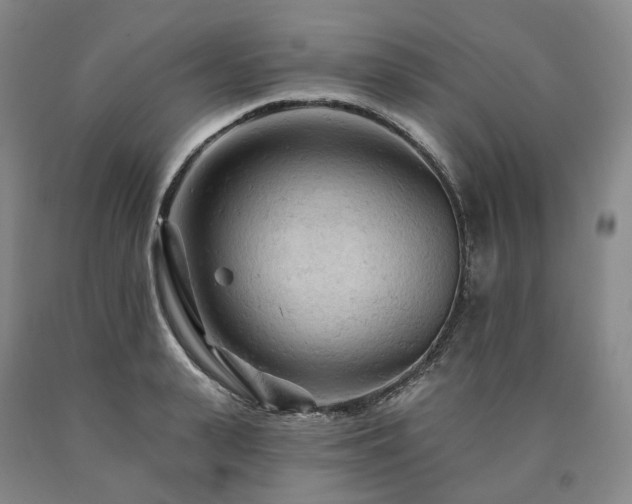 X0000090890943200707271329