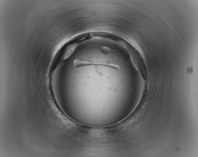 X0000090890944200707271329