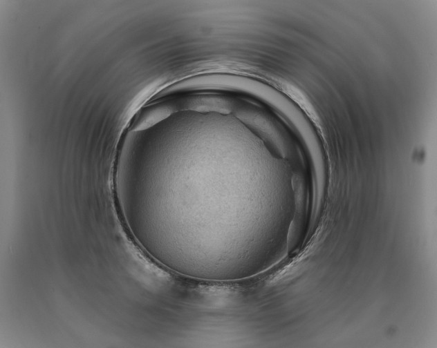 X0000090890946200707271329