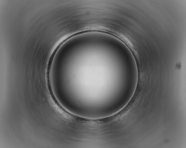 X0000090890947200707271329