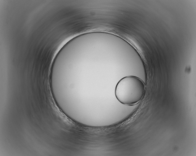 X0000090890948200707271329