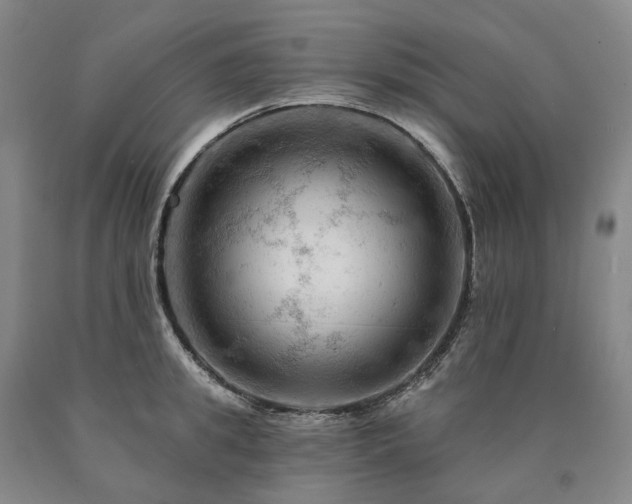 X0000090890949200707271329