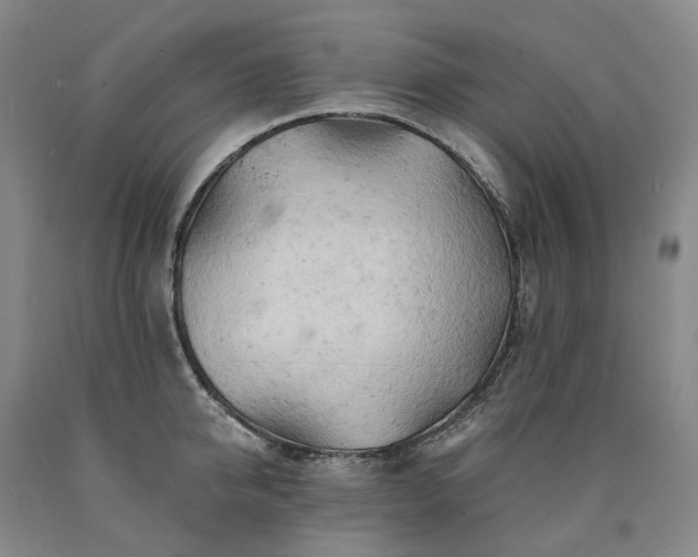 X0000090890950200707271329