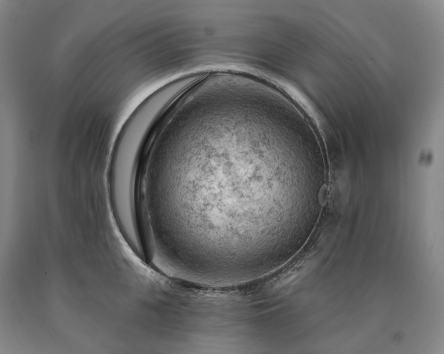 X0000090890951200707271329
