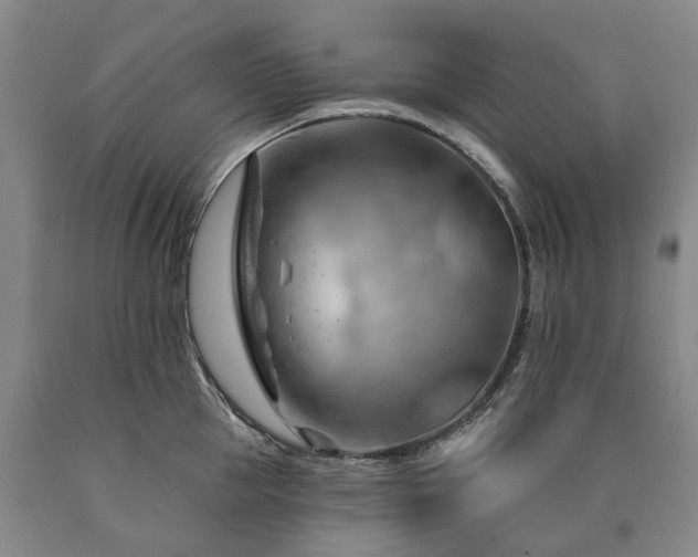 X0000090890953200707271329