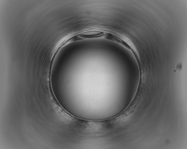 X0000090890954200707271329