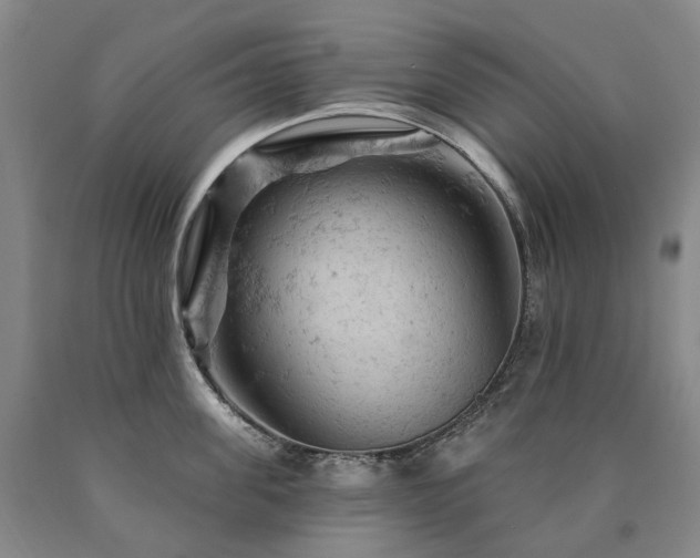 X0000090890955200707271329