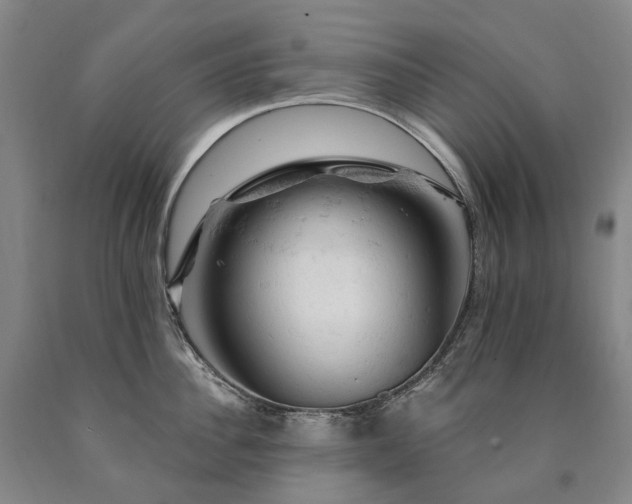 X0000090890956200707271329