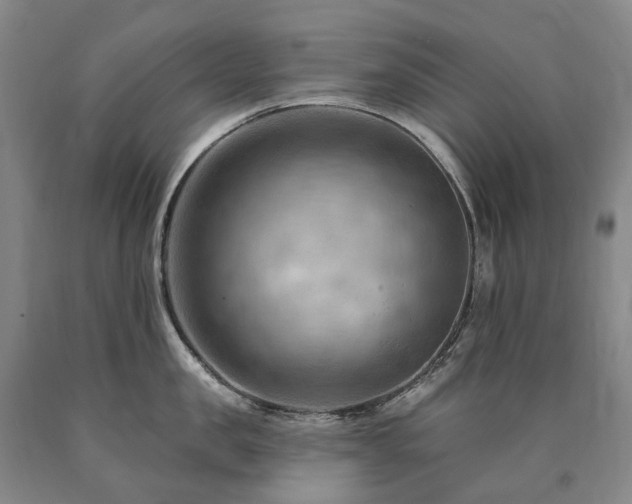 X0000090890957200707271329