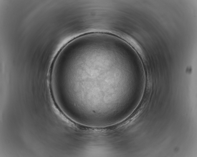 X0000090890958200707271329