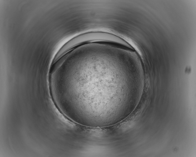 X0000090890959200707271329