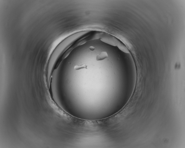 X0000090890960200707271329