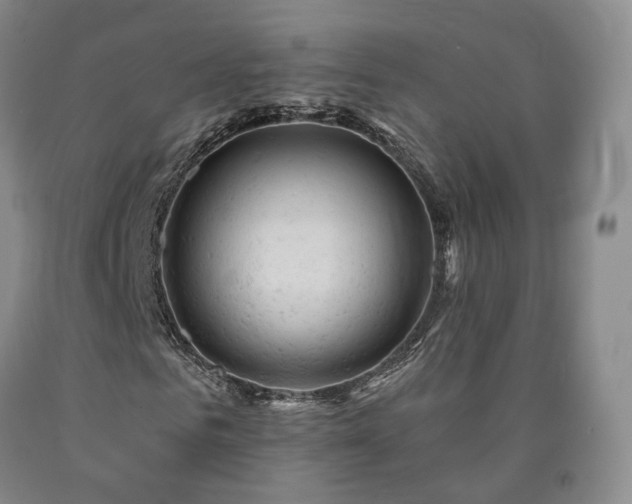 X0000090890961200707271329