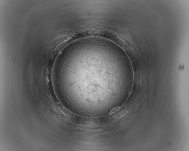 X0000090890962200707271329