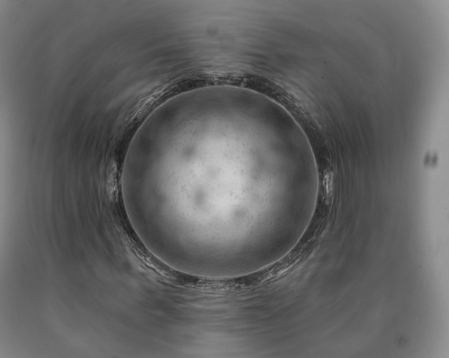 X0000090890963200707271328