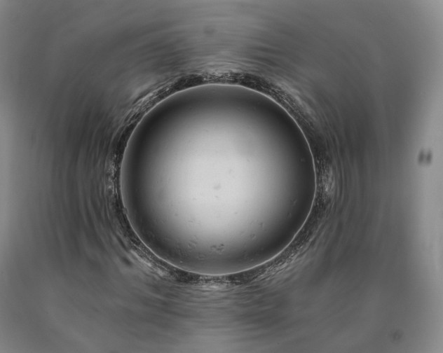 X0000090890964200707271328