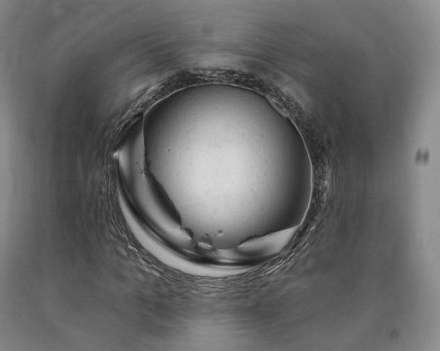 X0000090890965200707271328