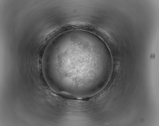 X0000090890966200707271328