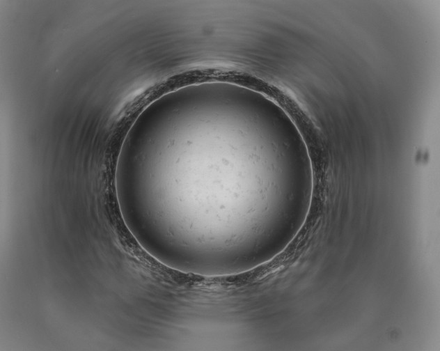 X0000090890967200707271328