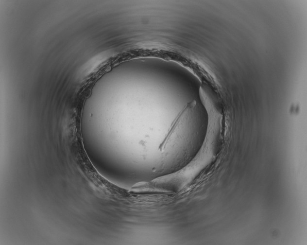 X0000090890968200707271328