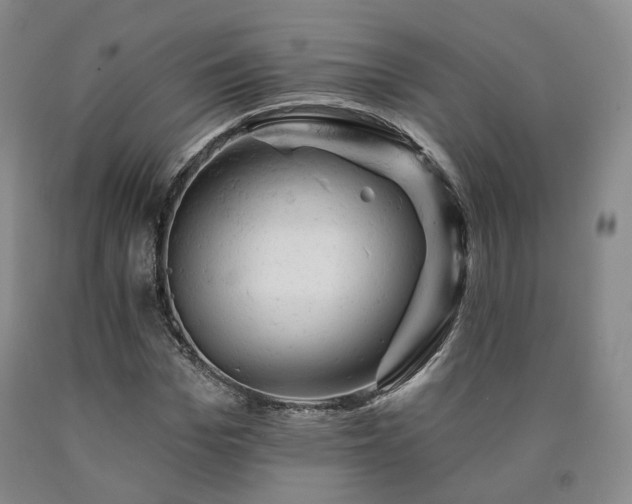 X0000090890969200707271328