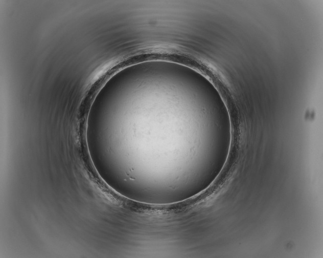 X0000090890970200707271328