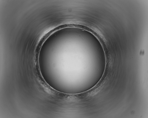 X0000090890974200707271328