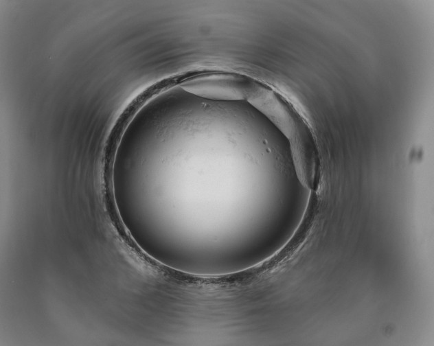 X0000090890976200707271328