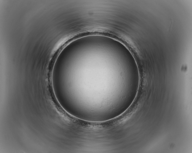 X0000090890978200707271328