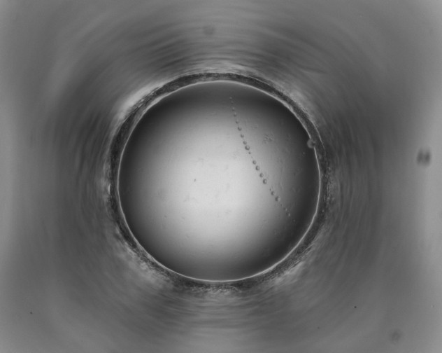 X0000090890979200707271328