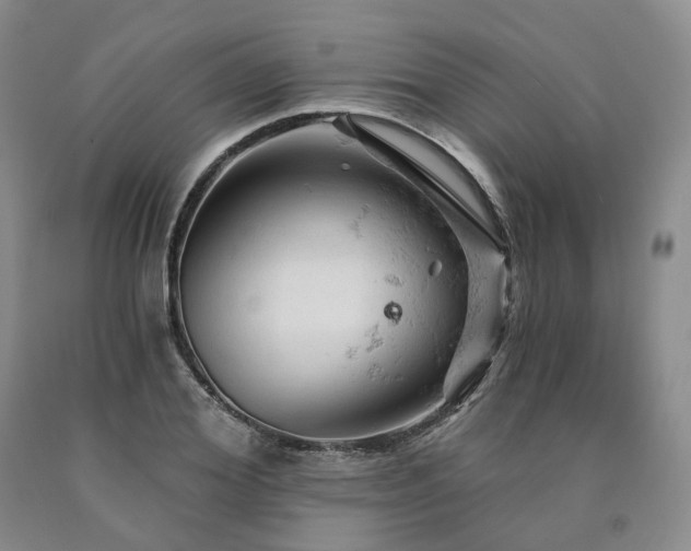 X0000090890980200707271328