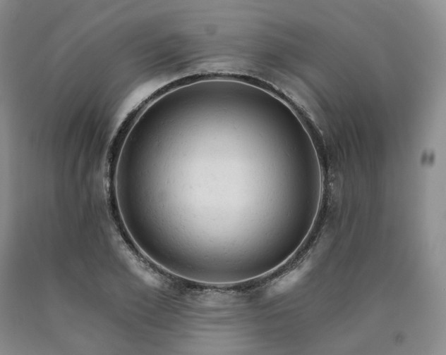 X0000090890981200707271328