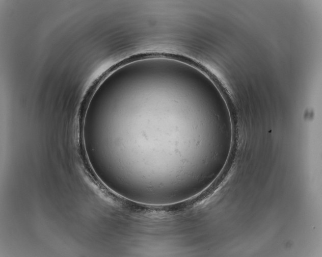 X0000090890982200707271328