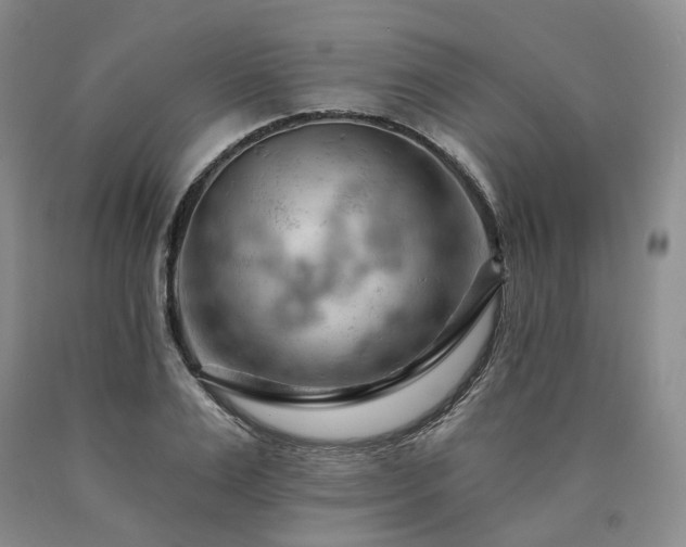 X0000090890983200707271328