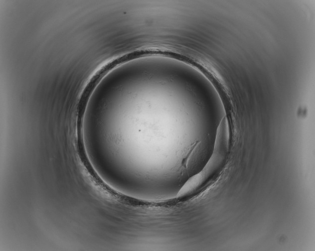 X0000090890984200707271328