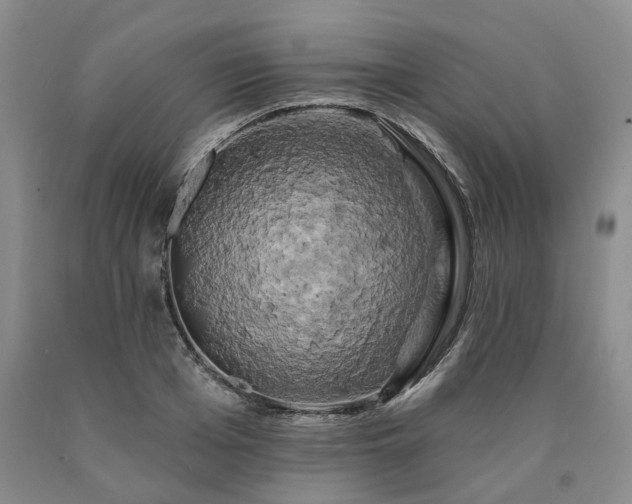 X0000090890985200707271328