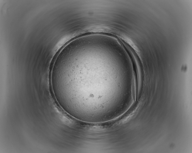 X0000090890986200707271328