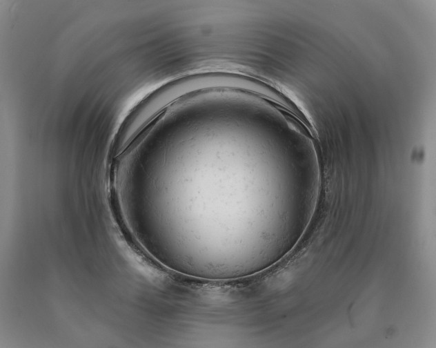 X0000090890987200707271328